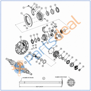 Pin - Cotter – Dana Spicer SAMC1060CP | Illustration 5