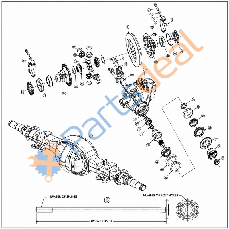 Screw - Hex – Dana Spicer SANB1092HS | Illustration 30