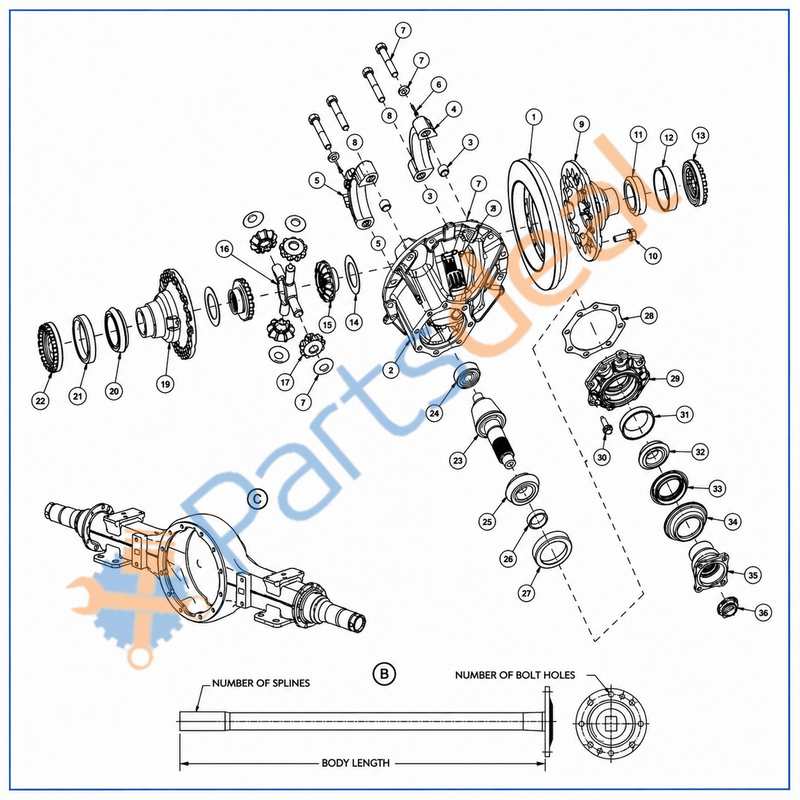 Pin - Cotter – Dana Spicer SAMC1060CP | Illustration 6